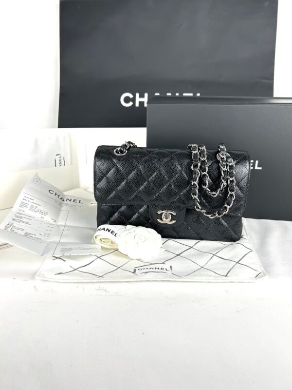 Chanel Classic 9 Double Flap Shoulder bag