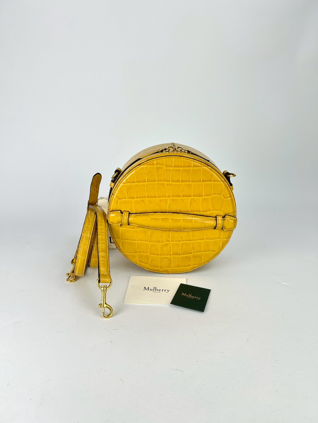 Mulberry Trunk Crossbody bag Y2017